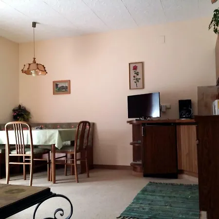 Apartmenthaus Erna Appartement