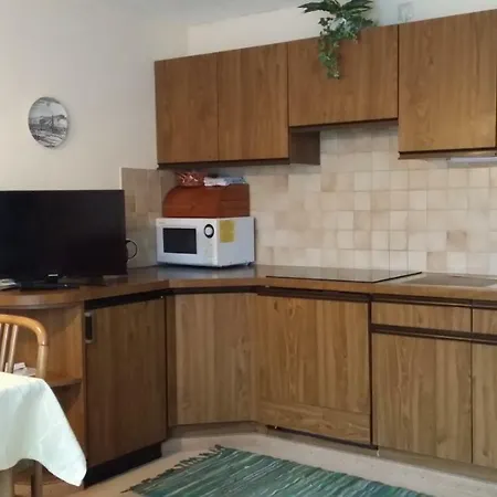 Apartmenthaus Erna Apartment Bad Hofgastein