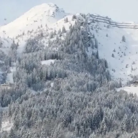 Apartmenthaus Erna Apartamento *