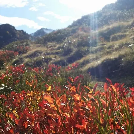 Apartmenthaus Erna *