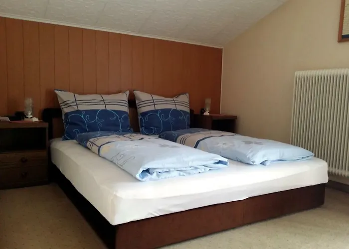 Apartmenthaus Erna アパート *