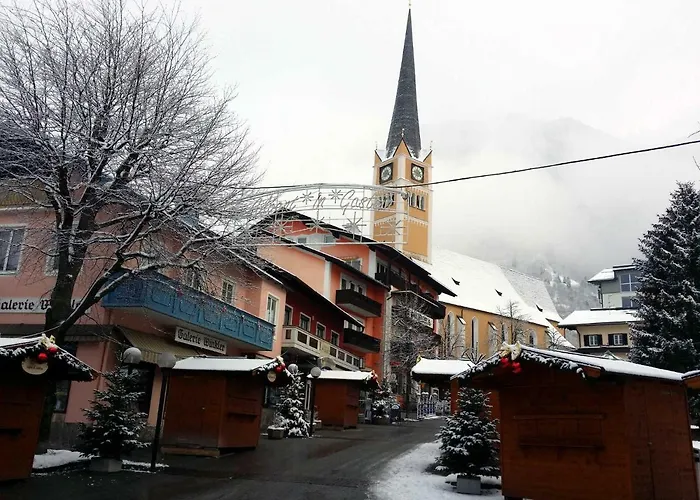 Apartmenthaus Erna * バート・ホーフガシュタイン