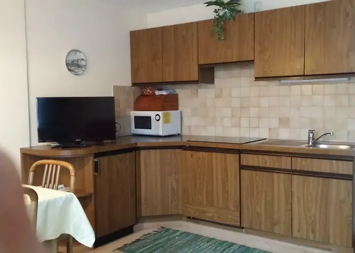 Apartmenthaus Erna アパート バート・ホーフガシュタイン