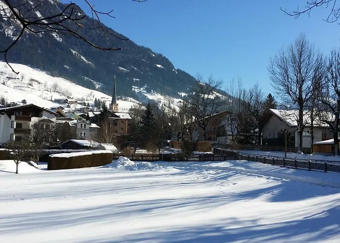 Apartmenthaus Erna * バート・ホーフガシュタイン