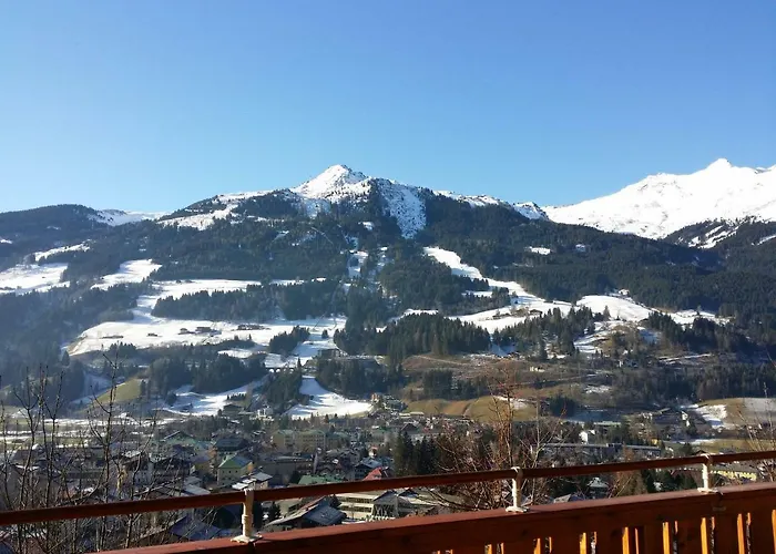 Apartmenthaus Erna アパート バート・ホーフガシュタイン