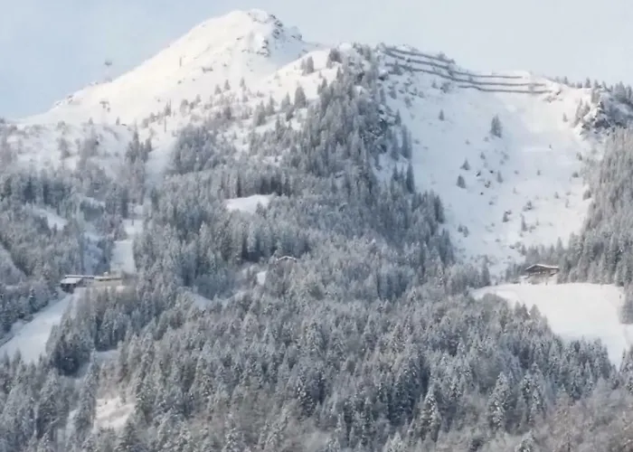 Apartmenthaus Erna アパート *