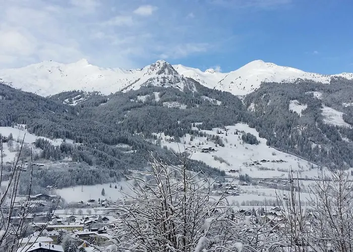 Apartmenthaus Erna * バート・ホーフガシュタイン