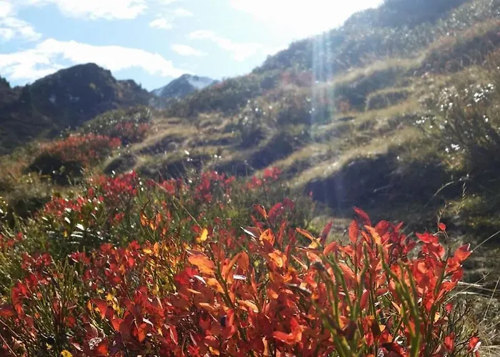 Apartmenthaus Erna *